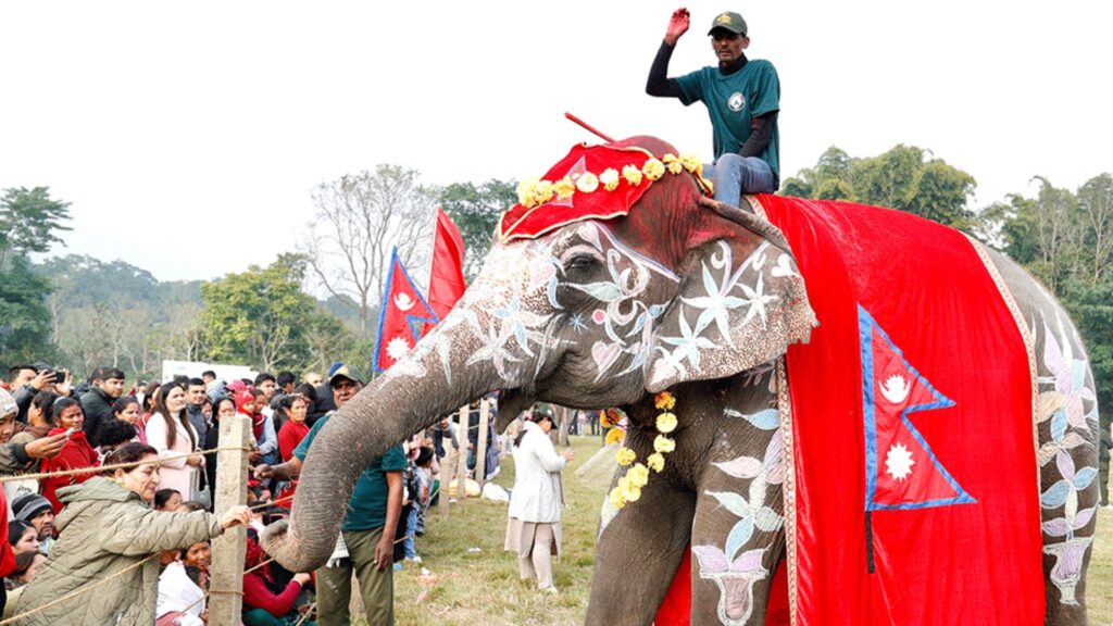 चितवनको पर्याय बन्दै ‘हात्ती तथा पर्यटन महोत्सव’