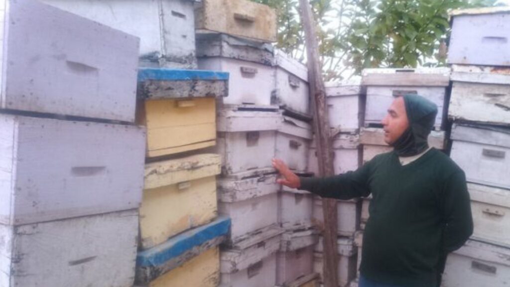 अवकाशपछिको जाँगरः मौरीपालनबाट मनग्य आम्दानी गर्दै घनश्याम