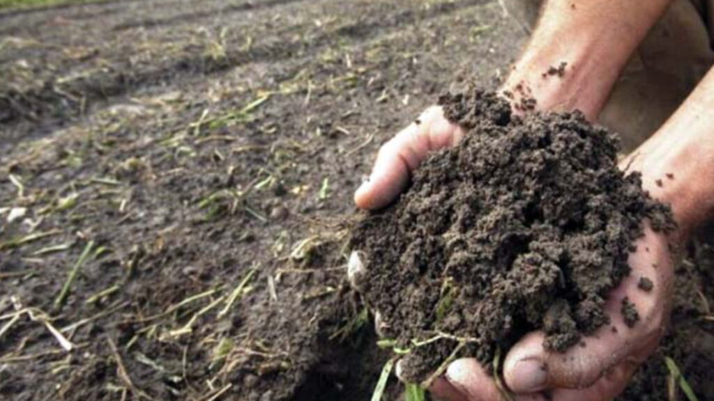 झापाको माटोमा अम्लीयपन बढ्यो