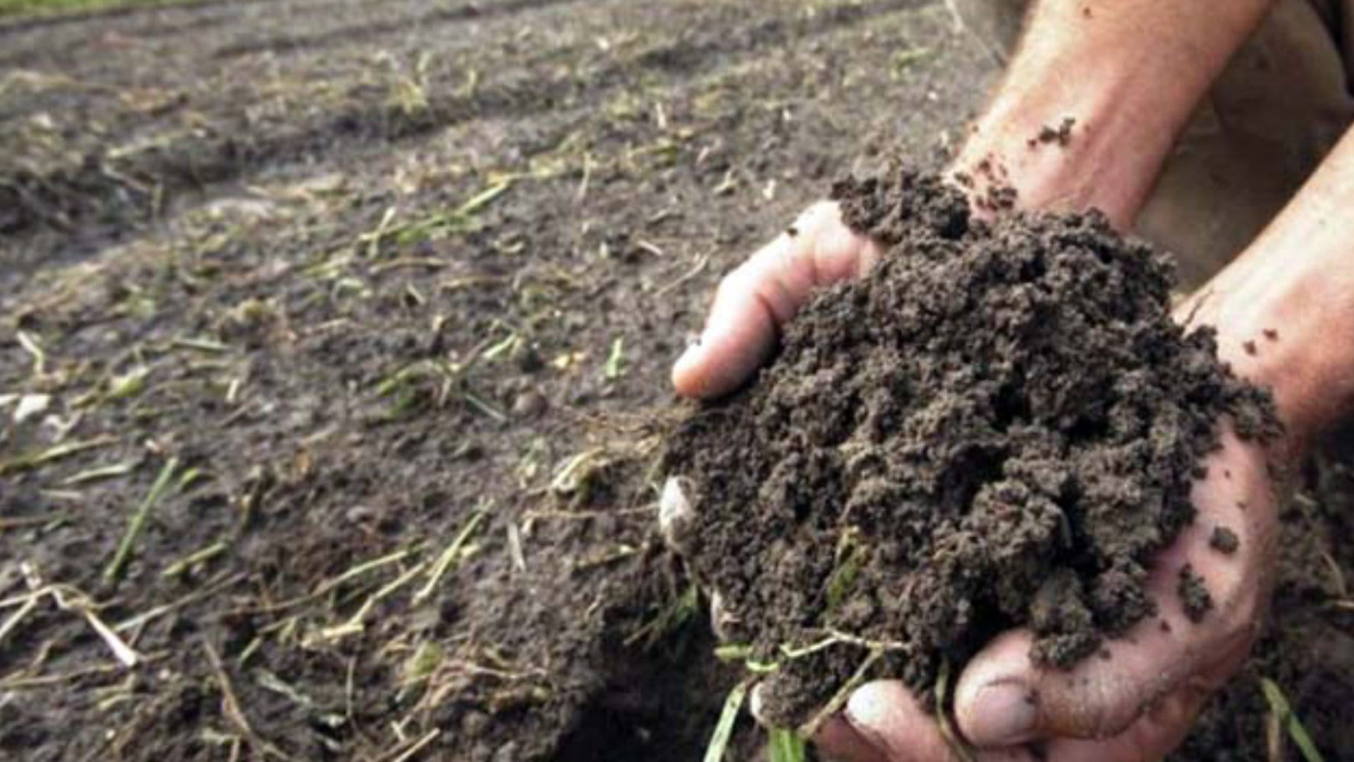 झापाको माटोमा अम्लीयपन बढ्यो image