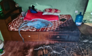 सुशीला बम्जन हत्या प्रकरण : सासू र नन्द पुर्पक्षका लागि थुनामा image