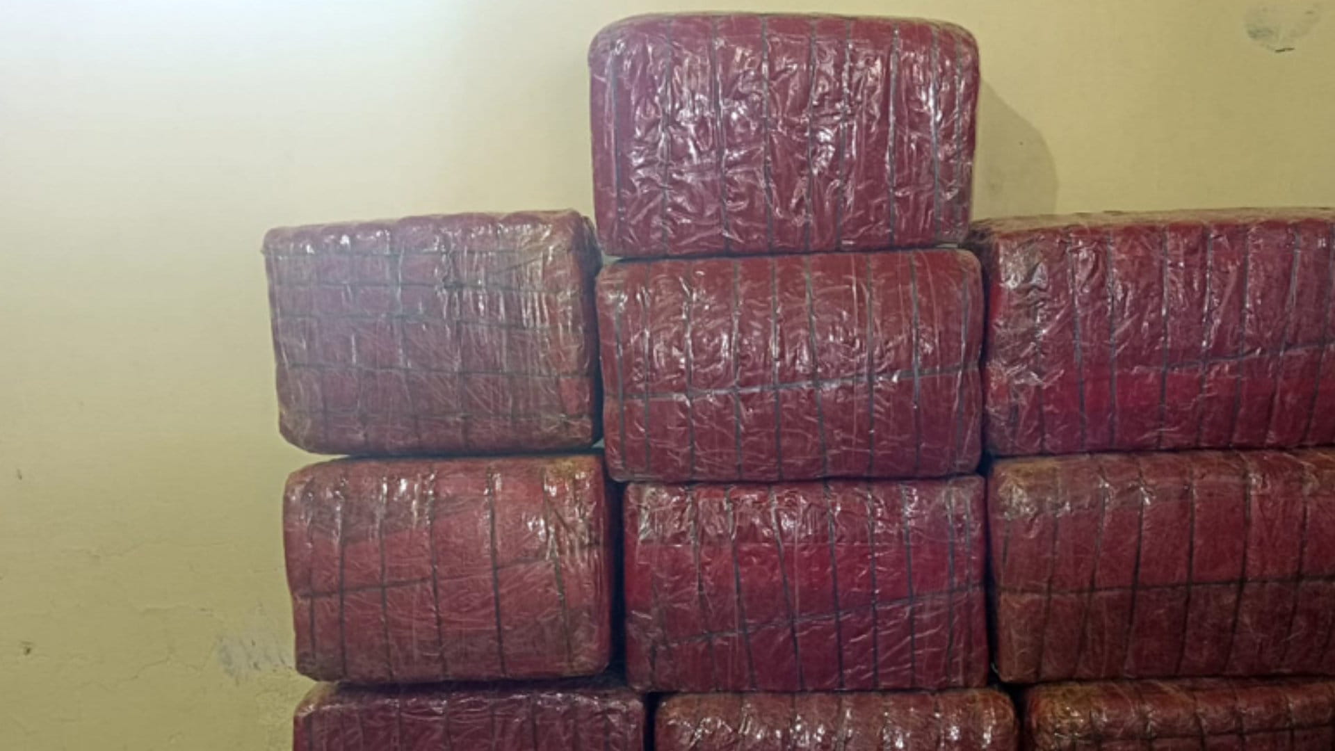 धरानमा ९५५ केजी गाँजासहित दुई जना पक्राउ image