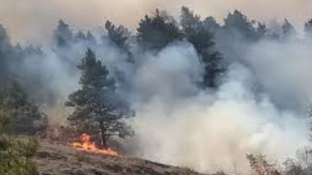हिउँदयाम सुरु भएसँगै भोजपुरमा डढेलो नियन्त्रण अभियान, २१६ थान सामग्री हस्तान्तरण