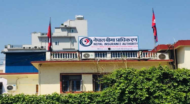 जेनजी आन्दोलन र बाढीपहिरोको असर: निर्जीवन बीमा कम्पनीहरूको नाफा खुम्चियो, ठूला कम्पनी नै नोक्सानीमा