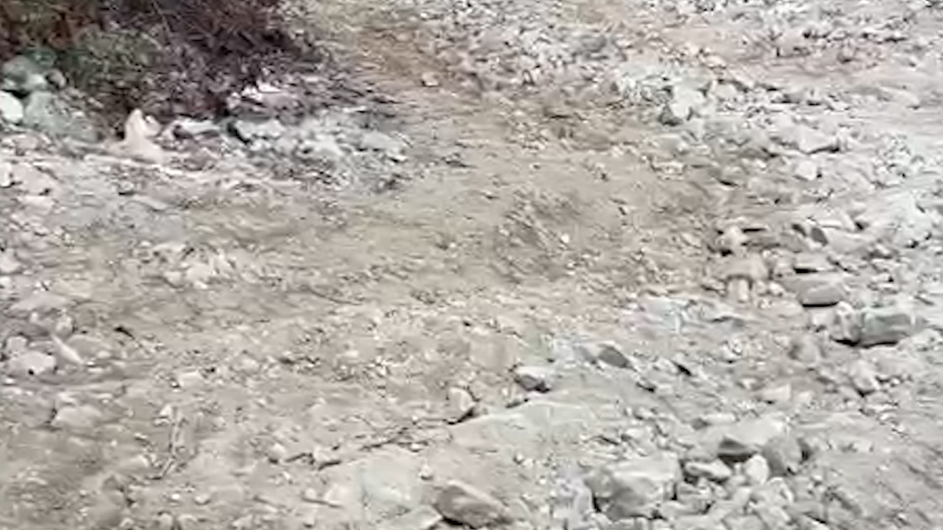 दैलेखको आठबीस नगरपालिका क्षेत्रको राकम–तिलेपाटा–छेपाडी सडक दयनीय, कहिले हुन्छ स्तरोन्नति?