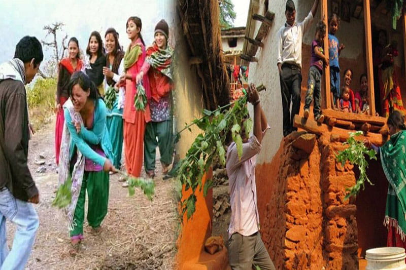 सुदूरपश्चिममा आज बिसु पर्व मनाइँदै, देवर–भाउजु र साली–भिनाजुबीच सिस्नु हान्ने रोचक परम्परा