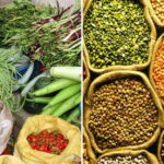 इन्धन र डलरको असर: तरकारीको मूल्य ३०० प्रतिशतसम्म वृद्धि