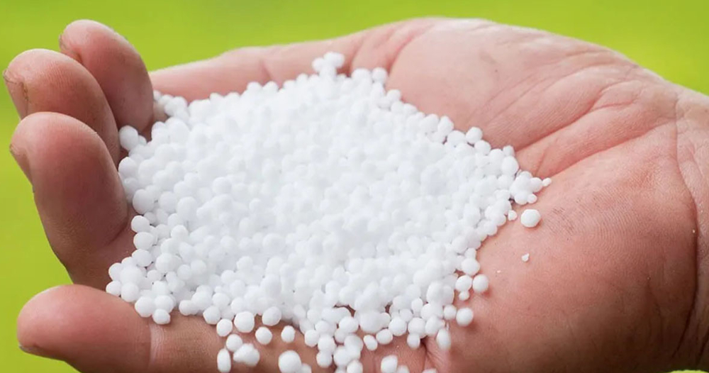 मल अभावबारे किसान महासङ्घको चिन्ता, आपूर्ति सुनिश्चित गर्न सरकारसँग माग