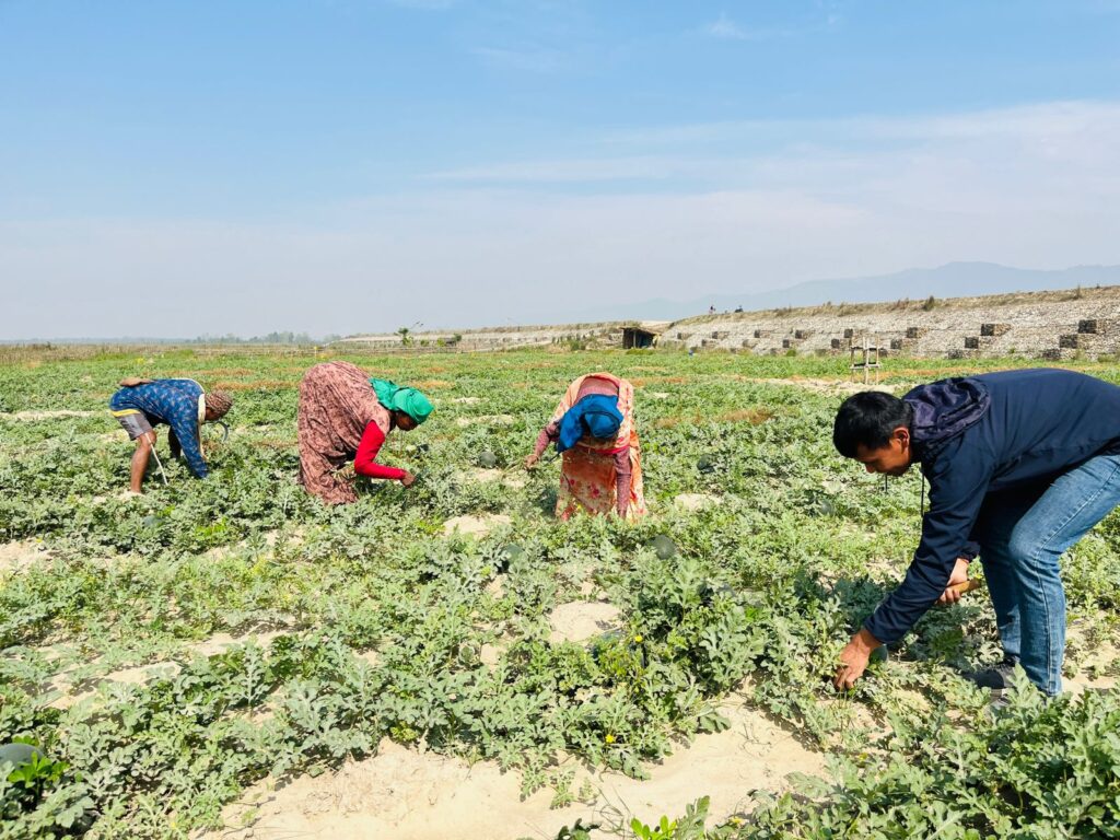 बगरमा पसिना, राजमार्गमा बजार, मुक्तकमैयाको फेरिएको दिनचर्या