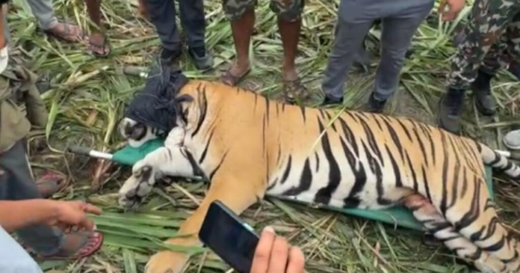 पर्सा राष्ट्रिय निकुञ्जमा ‘वाइडलाइफ रेस्क्यु टिम’ तयार