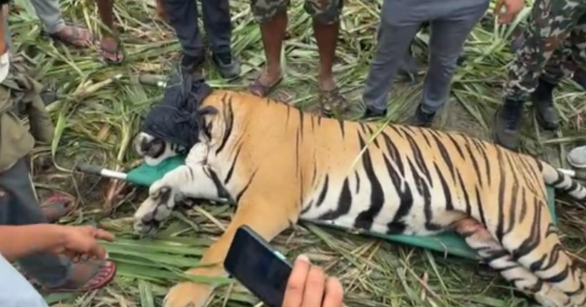 पर्सा राष्ट्रिय निकुञ्जमा ‘वाइडलाइफ रेस्क्यु टिम’ तयार image