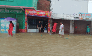 अविरल वर्षाले कैलाली-कञ्चनपुर जलमग्न, जनजीवन प्रभावित image