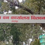 वन कार्यालय चितवनद्वारा जोखिमयुक्त रुखको तथ्याङ्क सङ्कलन