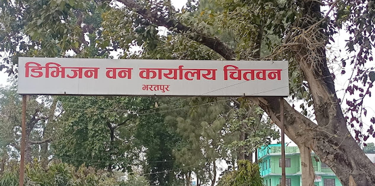 वन कार्यालय चितवनद्वारा जोखिमयुक्त रुखको तथ्याङ्क सङ्कलन image
