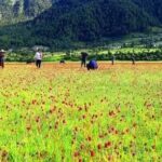 ढोरपाटनमा पर्यटकको आकर्षण बढ्यो, एक वर्षमा पुगे ३७ हजार