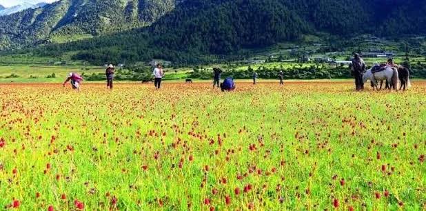 ढोरपाटनमा पर्यटकको आकर्षण बढ्यो, एक वर्षमा पुगे ३७ हजार