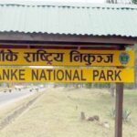 पर्यटन प्रवर्द्धनका लागि बाँके निकुन्जलाई ‘ब्रान्डिङ’ गरिँदै