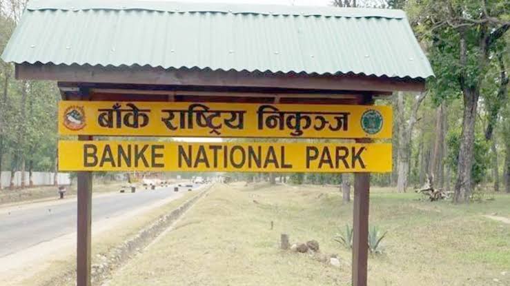 पर्यटन प्रवर्द्धनका लागि बाँके निकुन्जलाई ‘ब्रान्डिङ’ गरिँदै