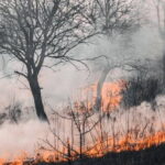 डढेलो र अत्यधिक गर्मीले विश्वभर वायु प्रदूषणको जोखिम बढाउँदै, स्वास्थ्यमा गम्भीर असरको चेतावनी
