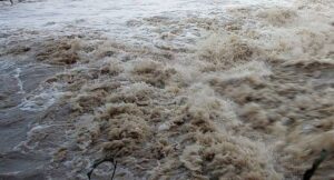 बागमती नदीमा जलसतह सतर्कता तह पार, आसपासका बासिन्दालाई उच्च सतर्कता अपनाउन आग्रह image
