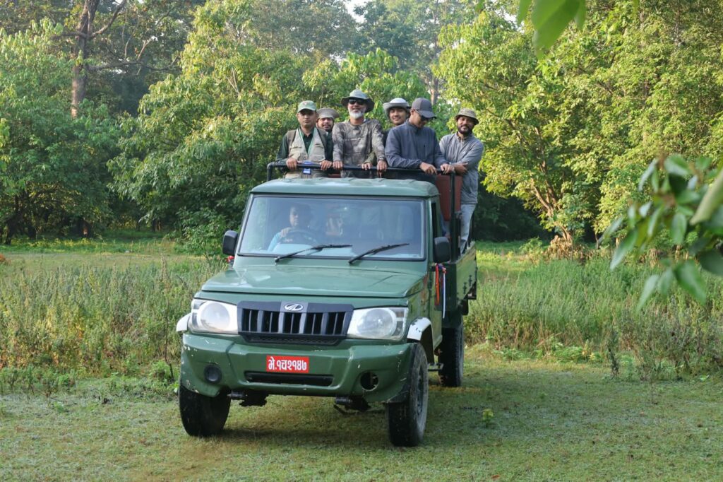 बाँके राष्ट्रिय निकुञ्जमा जंगल सफारी खुल्यो, बाघ अवलोकन गर्न पर्यटक आकर्षित